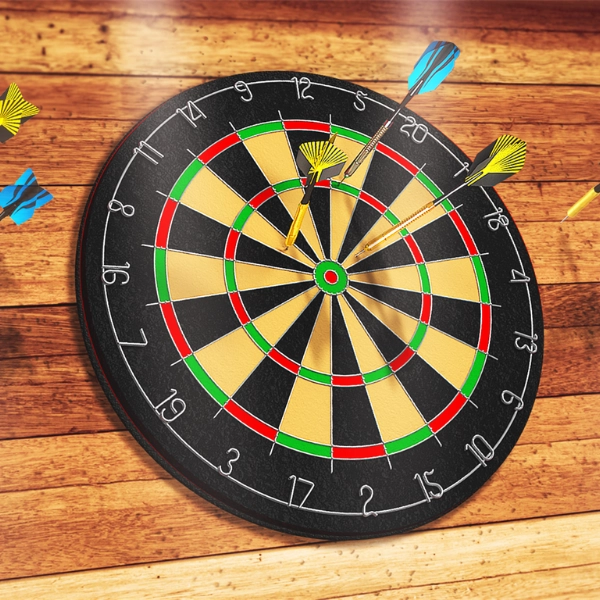 Darts Pro