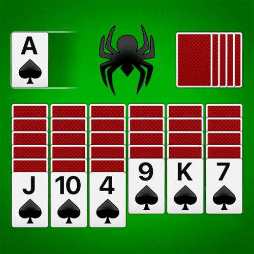 Spider Spider